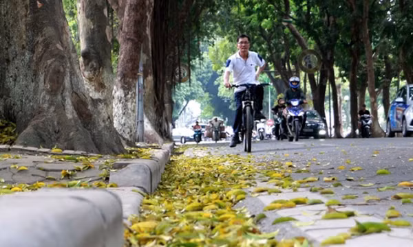 Thời tiết ngày 12/2: Bắc Bộ tăng nhiệt trước khi đón không khí lạnh