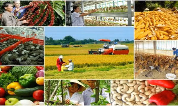 Huy động mọi nguồn lực xã hội tham gia xây dựng nông thôn mới