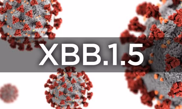 Làm thế nào để biết bạn nhiễm biến thể XBB, XBB.1.5 hay BA.5?