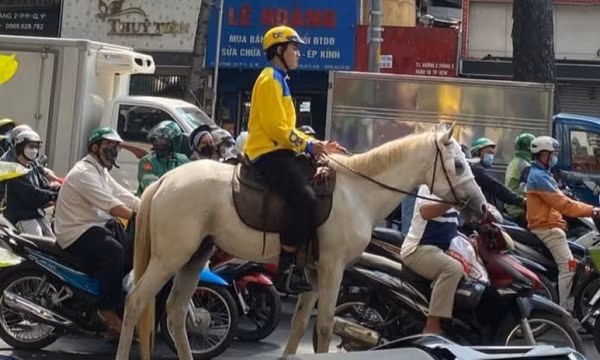 Xử phạt người đàn ông cưỡi ngựa trên đường ở TPHCM