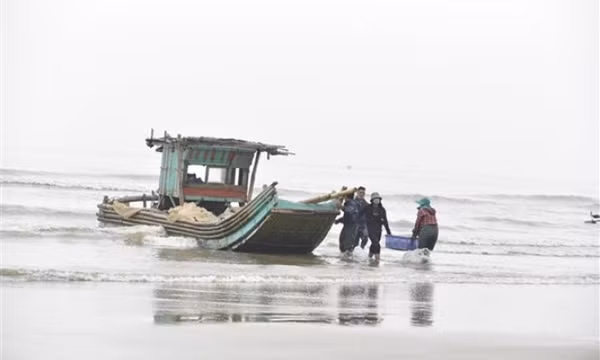 Chủ động ứng phó với sóng cao, gió Đông Bắc giật mạnh trên biển