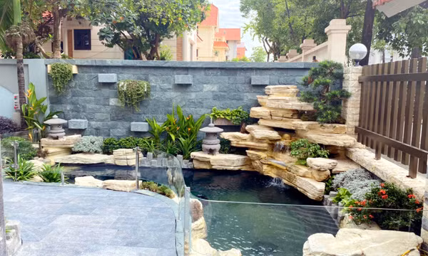 Làm đẹp và đảm bảo an toàn từ thú chơi cá Koi 