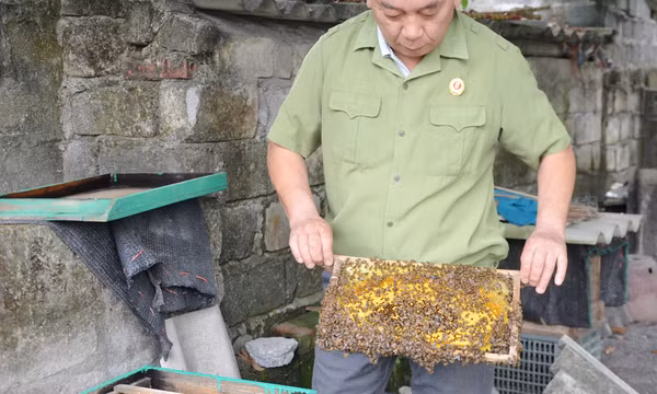 Tấm gương vượt khó vươn lên
