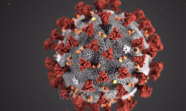 Nga phát triển xét nghiệm đồng thời phát hiện 8 loại virus hô hấp cấp tính