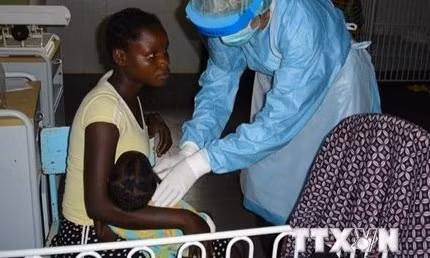 Việt Nam trước nguy cơ xâm nhập của virus Marburg