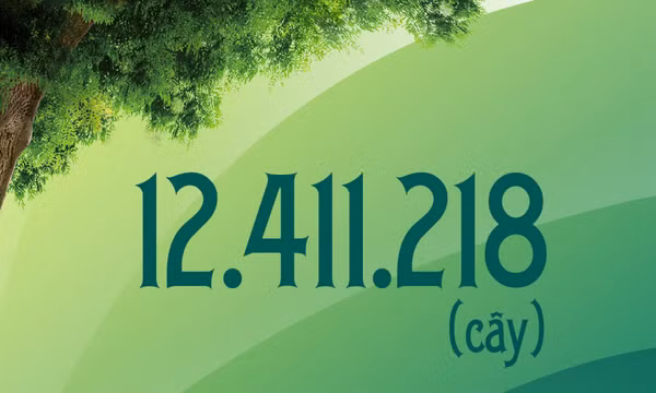12.411.218 - là mục tiêu trồng cây xanh của tỉnh Quảng Ninh giai đoạn 2021-2025