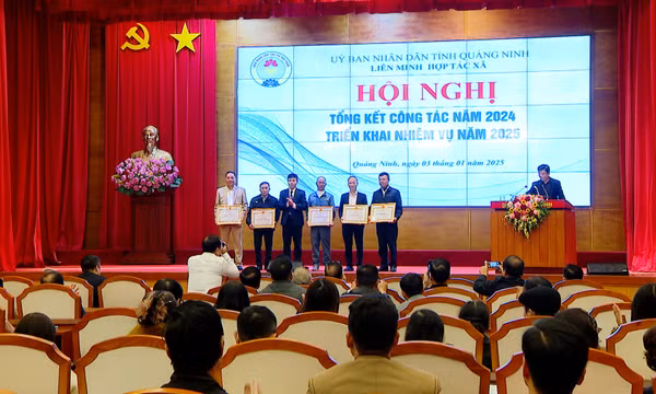Phấn đấu thành lập mới 60 HTX trong năm 2025