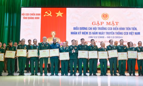 Hội CCB tỉnh: Đẩy mạnh phong trào thi đua yêu nước