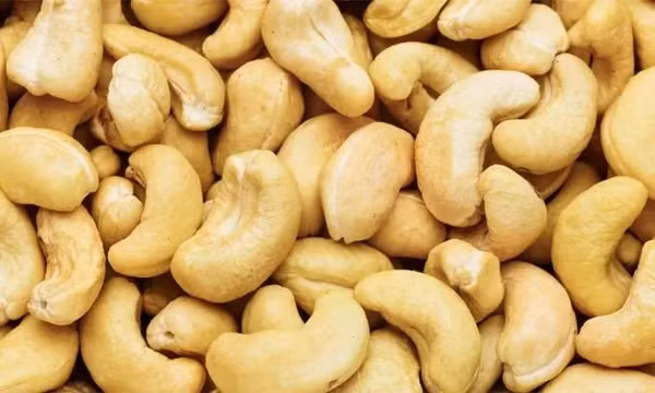 Ngành điều và kỷ lục mới về xuất khẩu