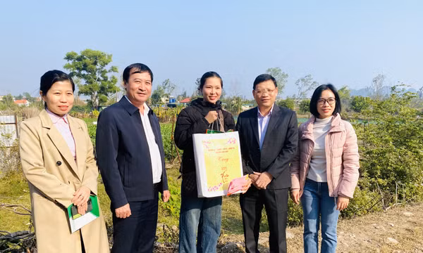 Lãnh đạo tỉnh kiểm tra các dự án vay vốn từ chương trình mục tiêu quốc gia