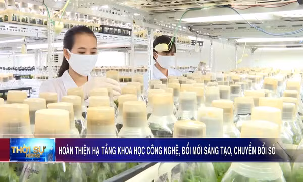 Hoàn thiện hạ tầng khoa học công nghệ, đổi mới sáng tạo, chuyển đổi số