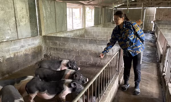 Nông dân thi đua sản xuất kinh doanh giỏi