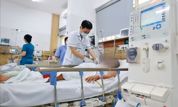 Dừng lưu thông và truy xuất tận cùng nguồn gốc sản phẩm rượu nghi ngờ gây ngộ độc 