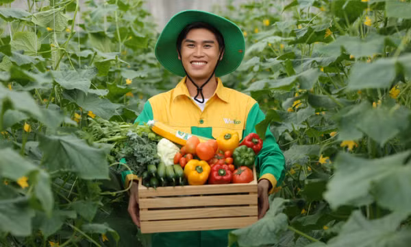 Bữa ăn ngày Tết: Rau quả nhiều màu như cầu vồng có lợi cho sức khỏe