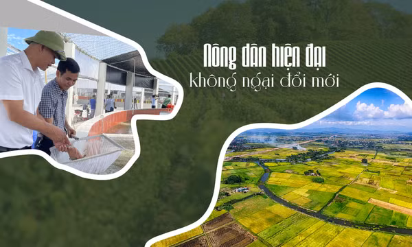 Nông dân hiện đại không ngại đổi mới