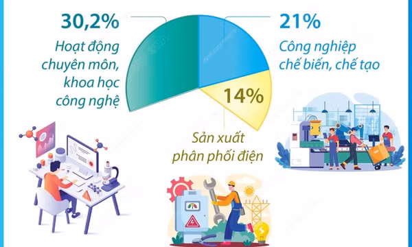 Năm 2024: Đầu tư của Việt Nam ra nước ngoài tăng 57,7%