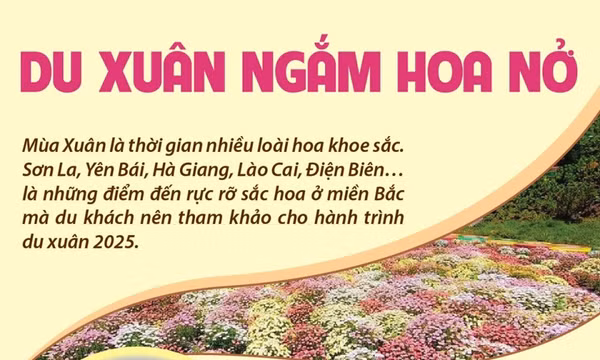 Những điểm đến hấp dẫn cho hành trình du xuân ngắm hoa nở