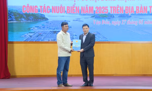 Hội nghị triển khai công tác nuôi biển năm 2025
