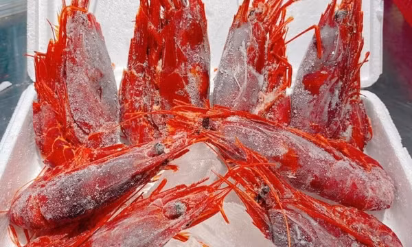 Tôm quỷ đỏ đắt nhất thế giới đổ bộ chợ Tết Ất Tỵ, giá 4,7 triệu đồng/kg