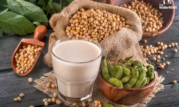 4 cách kiểm soát cholesterol máu để phòng ngừa bệnh tim mạch