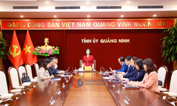 Ban Thường vụ Đảng ủy các cơ quan Đảng tỉnh kiểm điểm, đánh giá, xếp loại chất lượng năm 2025