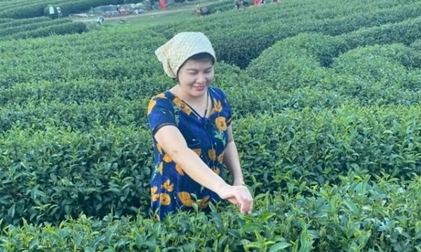 3 trải nghiệm thú vị dành cho gia đình kỳ nghỉ Tết Dương 4 ngày