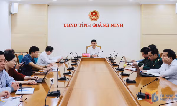 Phiên họp lần thứ 24 của Ban Chỉ đạo Quốc gia về IUU