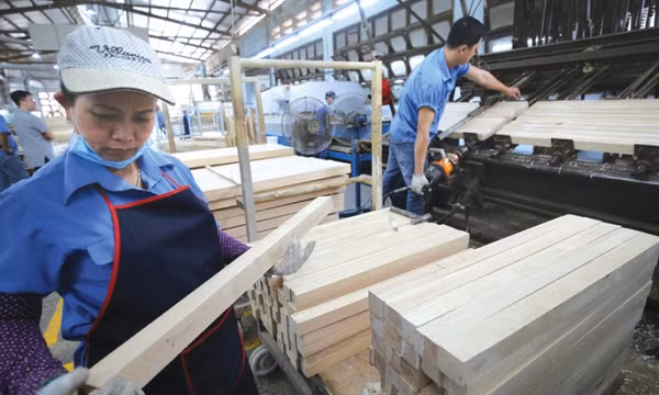 Ngành lâm nghiệp 2025: Vượt khó, giữ rừng, tăng trưởng cao