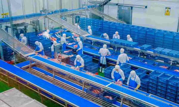 FDI, xuất khẩu - trụ cột tăng trưởng Việt Nam