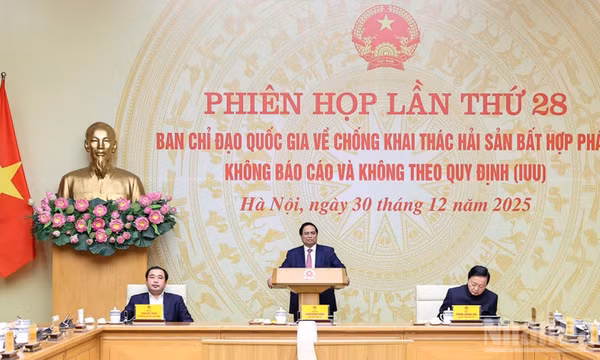 Nỗ lực chuyển đổi nghề, tạo sinh kế bền vững cho ngư dân