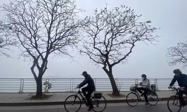 Thời tiết hôm nay 29/12: Bắc Bộ sương mù, trời rét