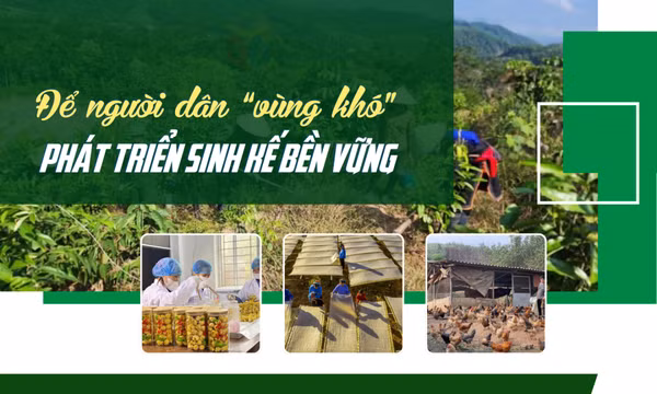 Để người dân “vùng khó” phát triển sinh kế bền vững