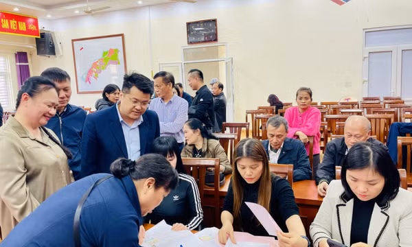 Phường Cao Xanh trao Giấy chứng nhận quyền sử dụng đất cho 65 hộ dân Khu dân cư đô thị mới đảo Sa Tô