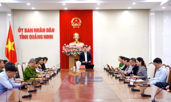 Hội nghị trực tuyến sơ kết một số chương trình, đề án của Chính phủ