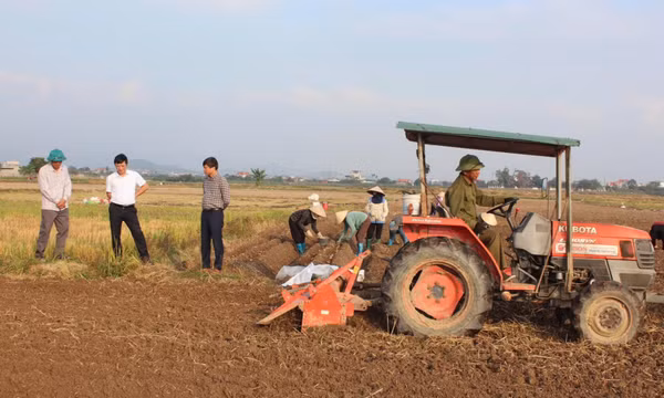 Phường An Sinh đảm bảo tiến độ sản xuất vụ Đông xuân