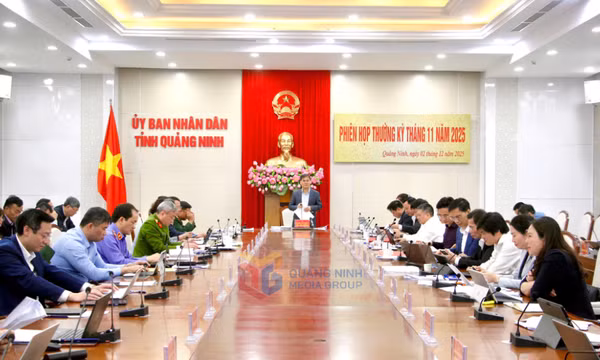 UBND tỉnh họp phiên thường kỳ tháng 11