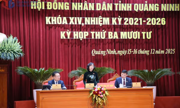 Thảo luận tại hội trường về các nội dung quan trọng phát triển kinh tế - xã hội