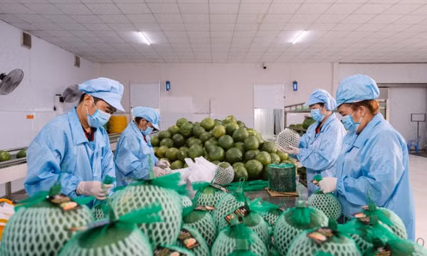 Giữ thị trường nông sản trong bối cảnh mới