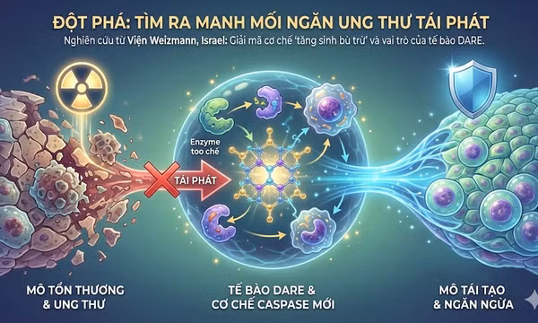 Tìm ra manh mối ngăn ung thư tái phát