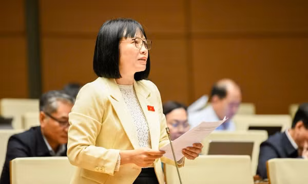 Đại biểu Quốc hội: Chính phủ hành động quyết liệt, để lại nhiều dấu ấn nổi bật