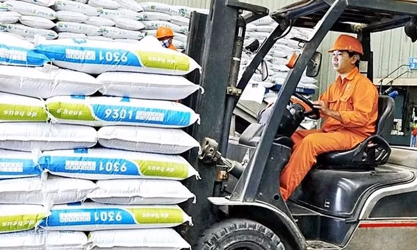 Giá nguyên liệu hạ nhiệt, vì sao thức ăn chăn nuôi vẫn 'đứng giá'?