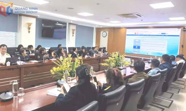 Tập huấn, giới thiệu về Cổng trải nghiệm dành cho các hộ, cá nhân kinh doanh kê khai thuế