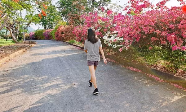 Những thói quen đơn giản có thể thay đổi vóc dáng ở mọi lứa tuổi