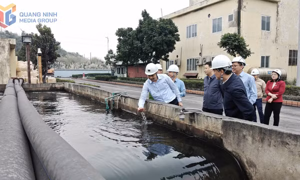 Sớm triển khai phát sóng bản tin thông báo chất lượng nước, không khí trên địa bàn tỉnh Quảng Ninh