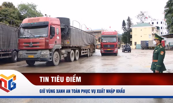 Giữ vùng xanh an toàn phục vụ xuất nhập khẩu