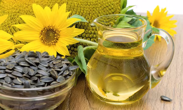 Điều gì xảy ra với cơ thể khi ăn quá nhiều hạt hướng dương?