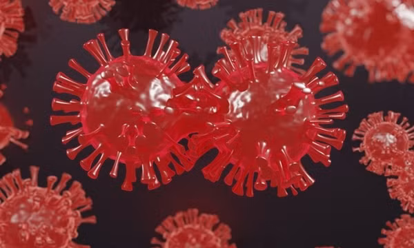 Mỹ: Vaccine đặc trị Omicron có thể không cần thiết