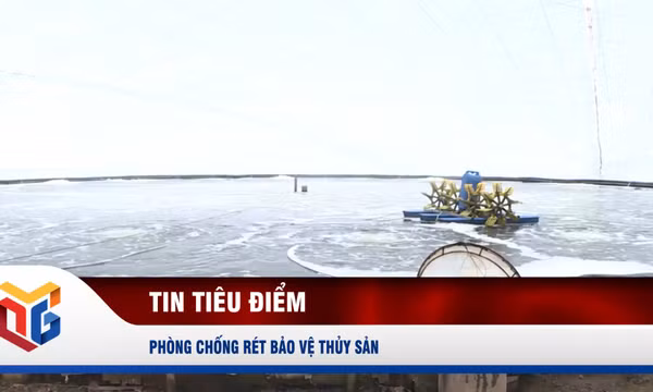 Phòng chống rét bảo vệ thủy sản