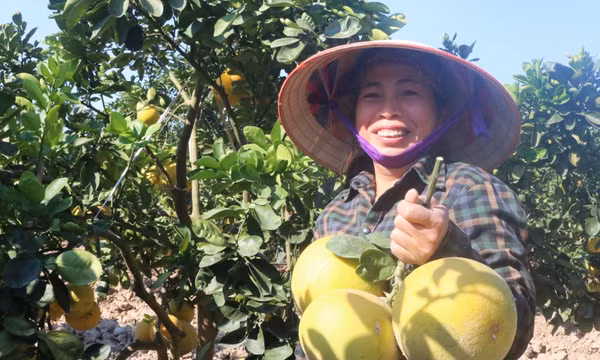 Sắc xuân nông thôn mới
