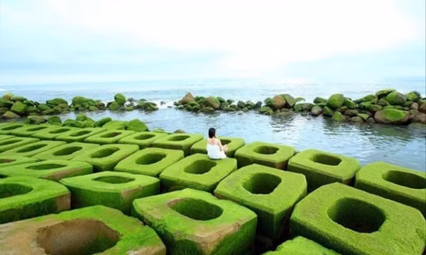Xuân về, Phú Yên lại hiện lên một ‘thiên đường rêu xanh’ đẹp mê ly